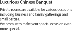 Luxurious Chinese Banquet