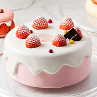 딸기 쉬폰 케이크